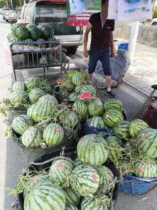 浏阳网红吃瓜事件,揭秘网络舆论的风暴与真相